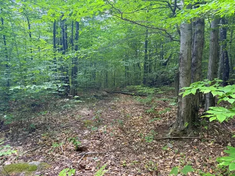 Tbd Map Fr 028 Plan 01 Lot 19 Washington Twp ME 04294