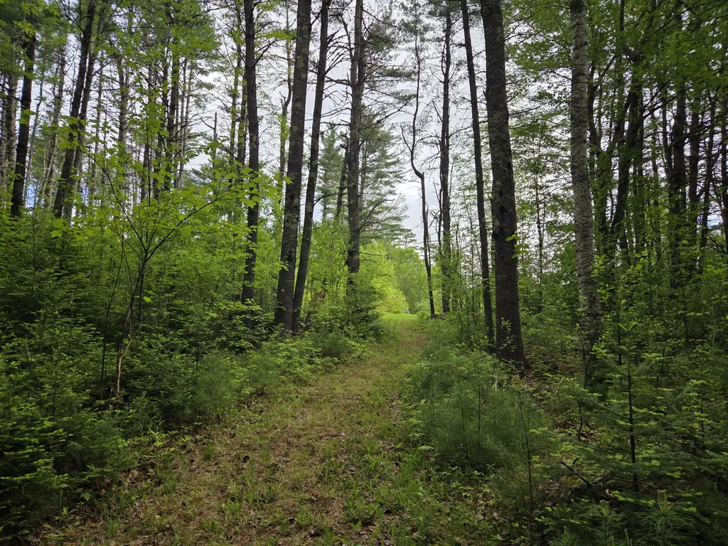 1462 Waterville Waldo ME 04915