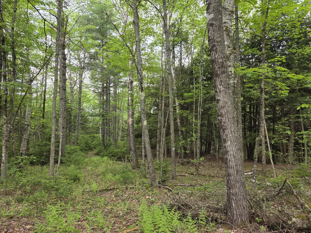 1462 Waterville Waldo ME 04915