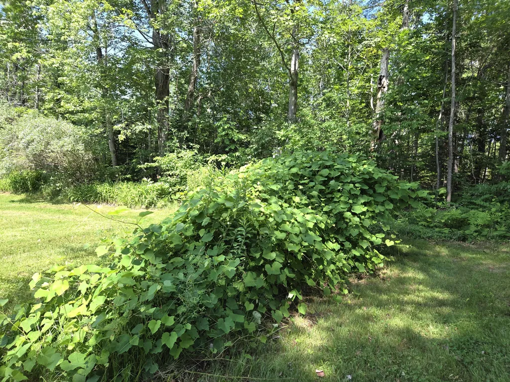 1462 Waterville Waldo ME 04915