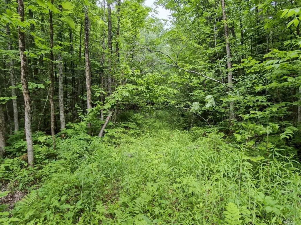 137 Butterfield Road New Sharon ME 04955