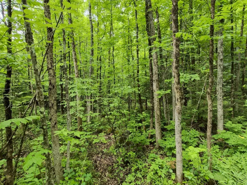 137 Butterfield Road New Sharon ME 04955