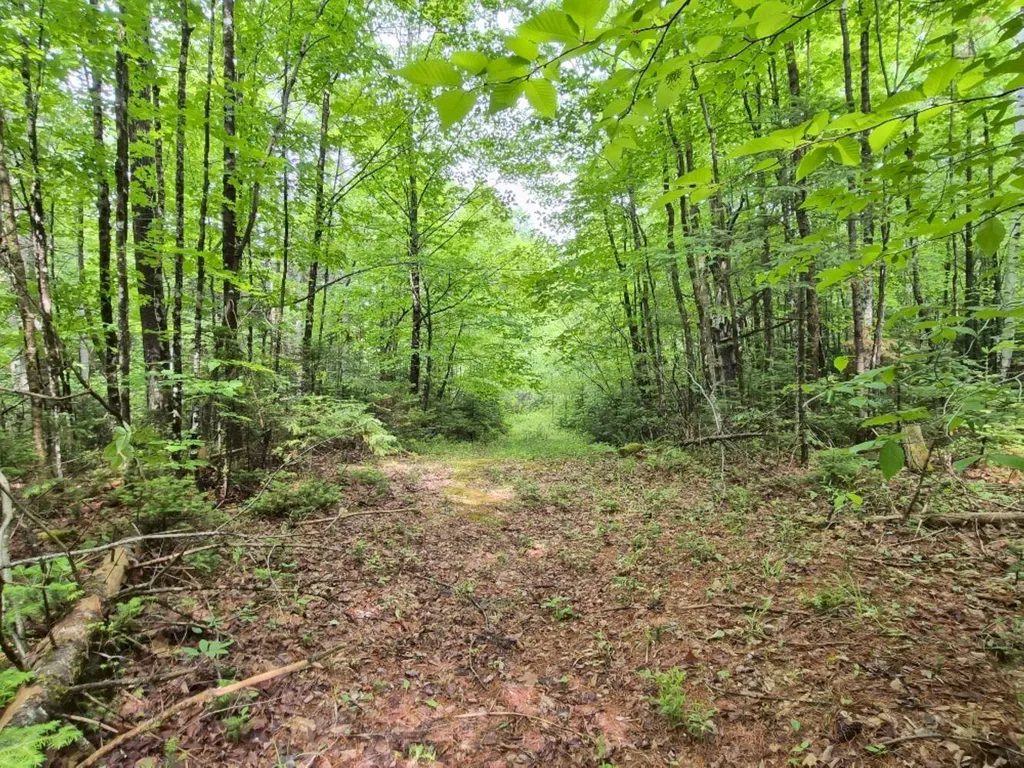 137 Butterfield Road New Sharon ME 04955