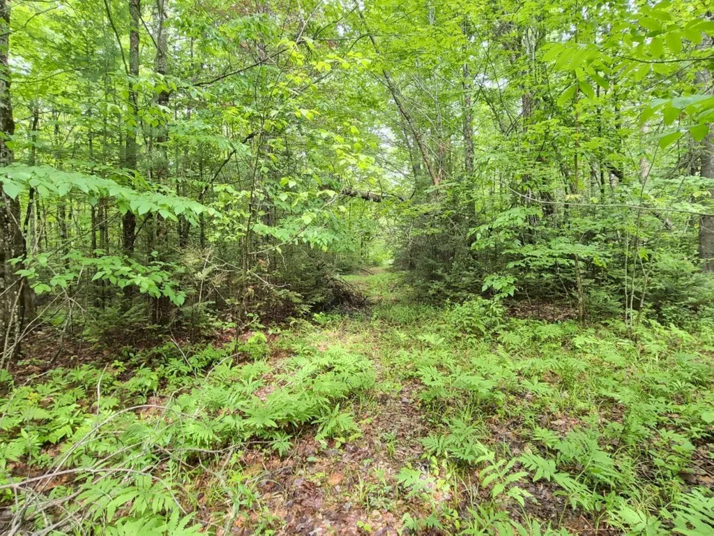 137 Butterfield Road New Sharon ME 04955