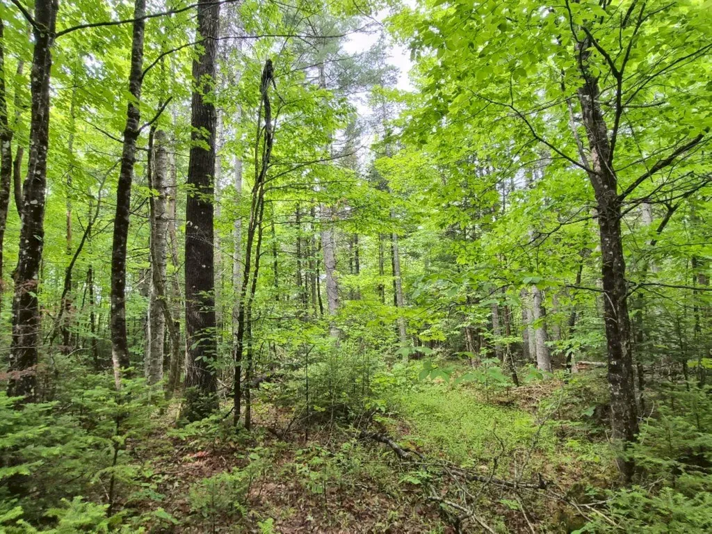 137 Butterfield Road New Sharon ME 04955