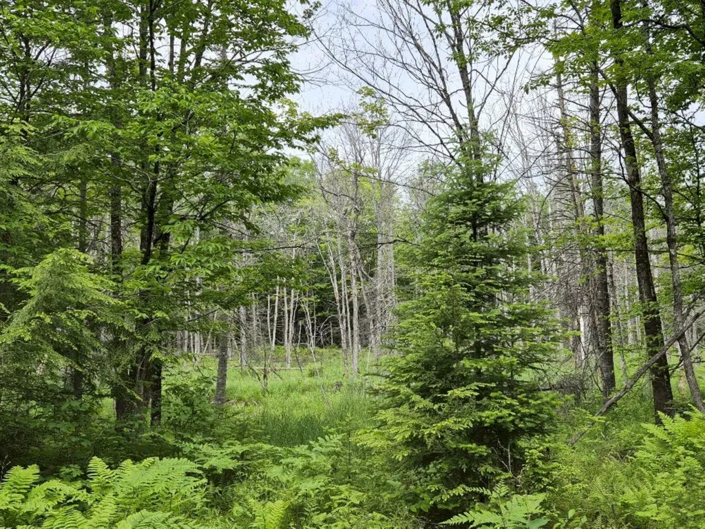 137 Butterfield Road New Sharon ME 04955