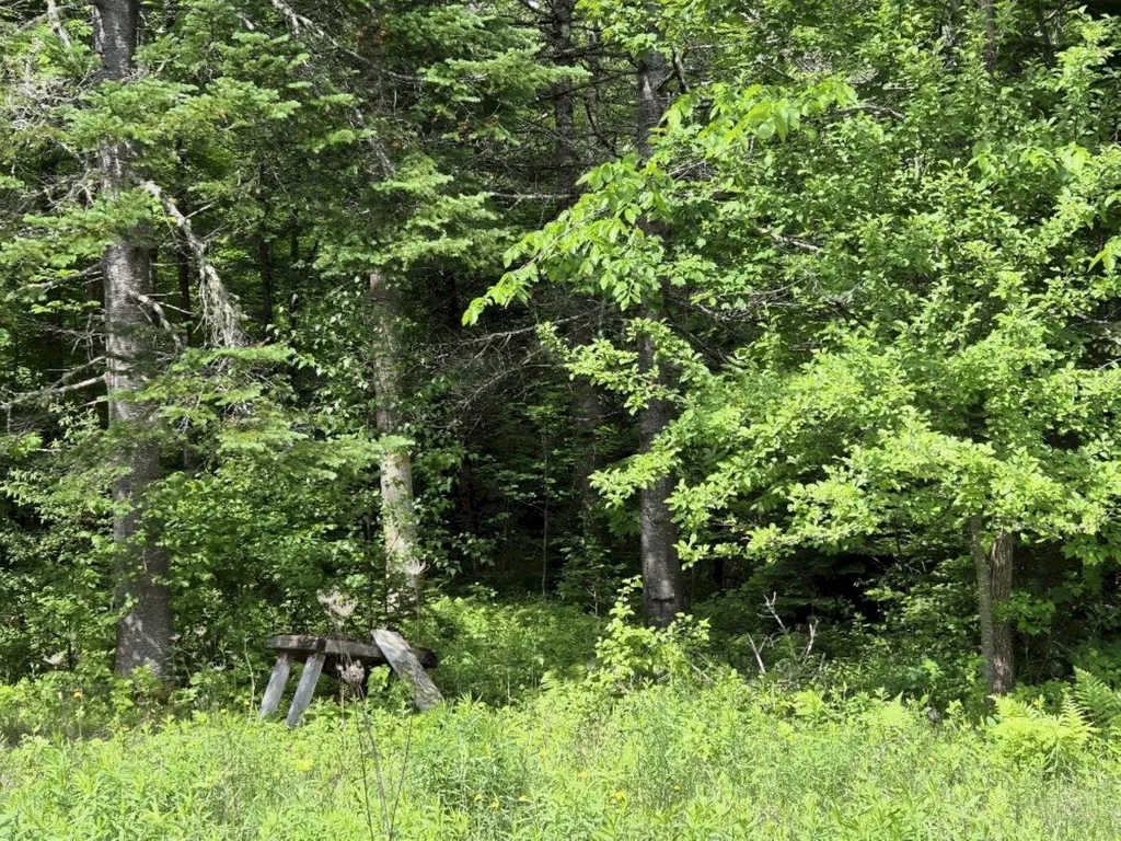 137 Butterfield Road New Sharon ME 04955