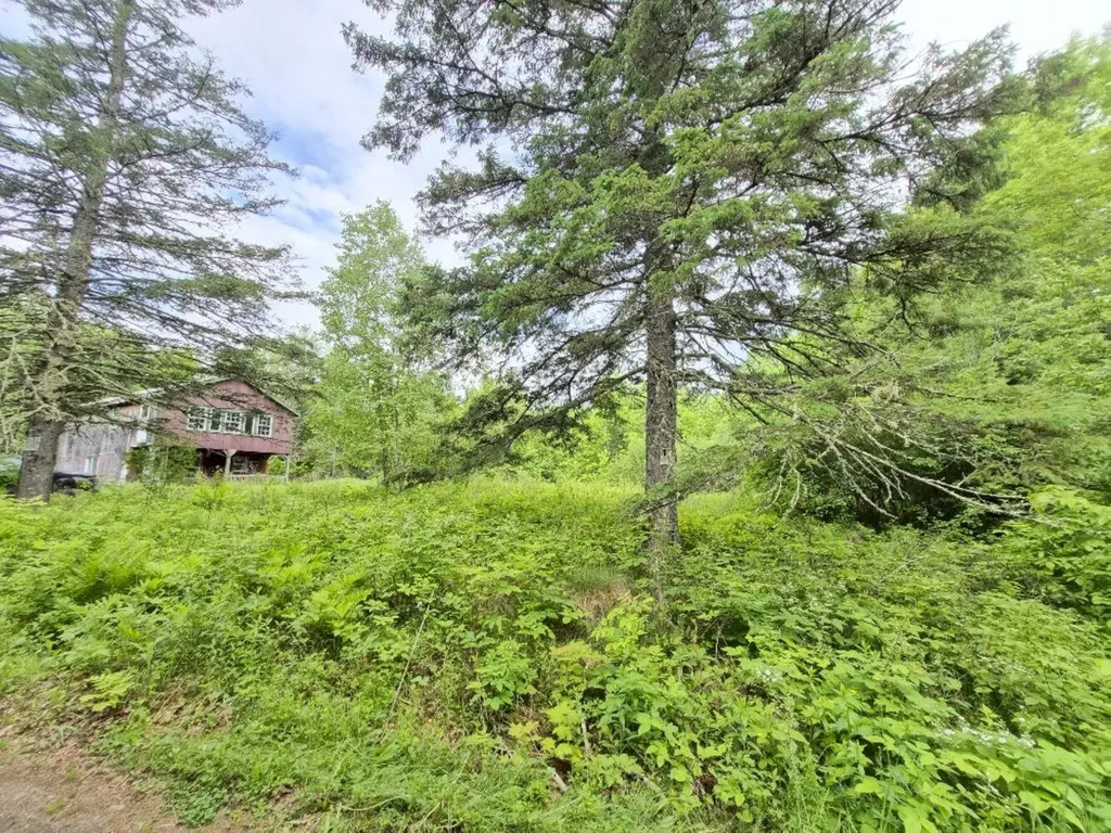 137 Butterfield Road New Sharon ME 04955