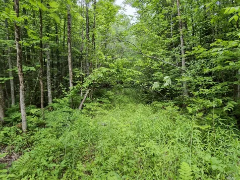 137 Butterfield Road New Sharon ME 04955