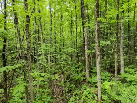 137 Butterfield Road New Sharon ME 04955