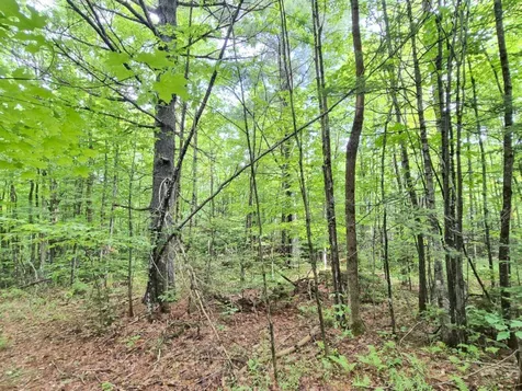 137 Butterfield Road New Sharon ME 04955
