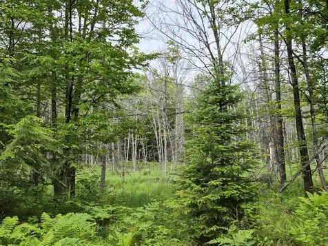 137 Butterfield Road New Sharon ME 04955