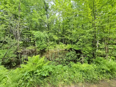 137 Butterfield Road New Sharon ME 04955