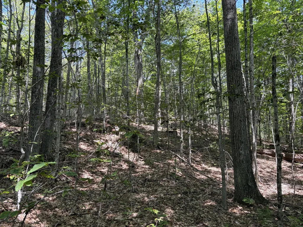 3.41 Acres Belden Woods Road Palermo ME 04354