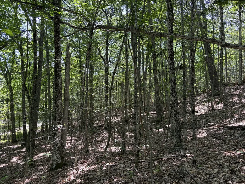 3.41 Acres Belden Woods Road Palermo ME 04354