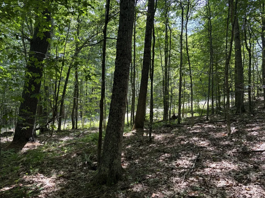 3.41 Acres Belden Woods Road Palermo ME 04354