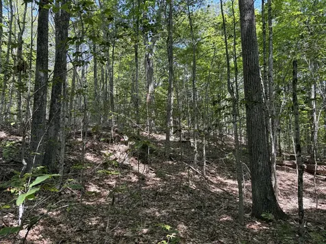 3.41 Acres Belden Woods Road Palermo ME 04354