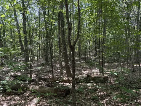 3.41 Acres Belden Woods Road Palermo ME 04354