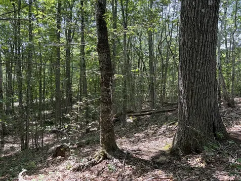 3.41 Acres Belden Woods Road Palermo ME 04354