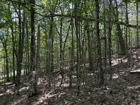 3.41 Acres Belden Woods Road Palermo ME 04354