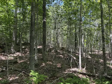 3.41 Acres Belden Woods Road Palermo ME 04354