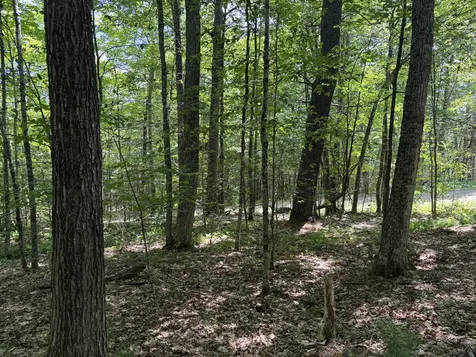 3.41 Acres Belden Woods Road Palermo ME 04354