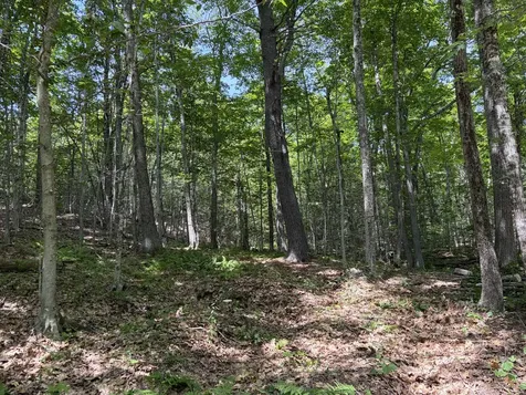 3.41 Acres Belden Woods Road Palermo ME 04354