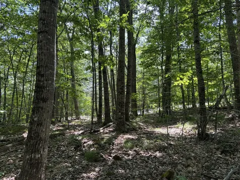 3.41 Acres Belden Woods Road Palermo ME 04354