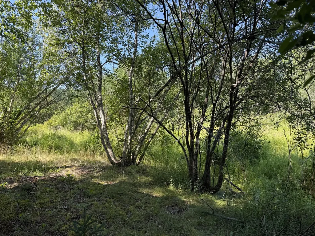 340 Bagaduce Road Brooksville ME 04617