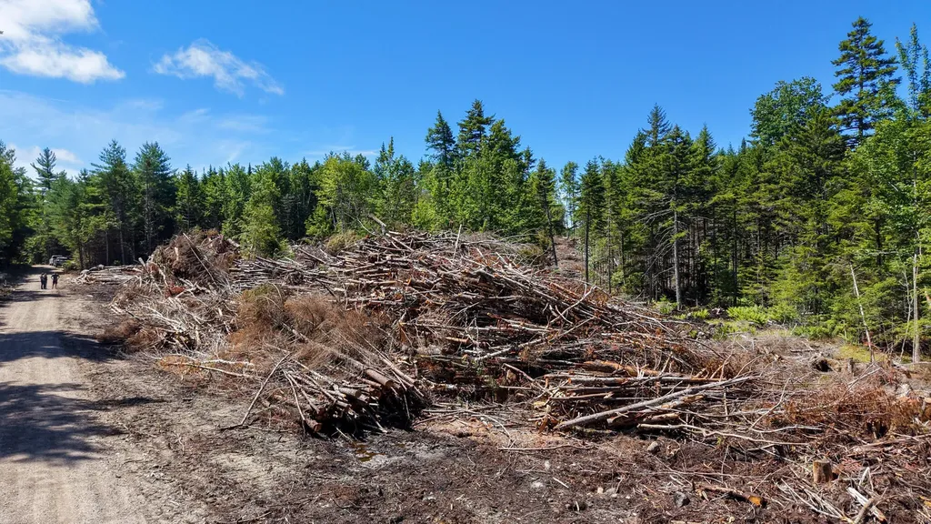 M9 L45-a NE NE Bluff Lane Beddington ME 04622