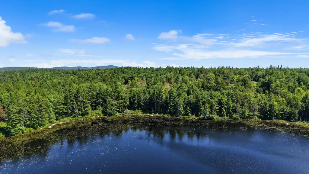 M9 L45-a NE NE Bluff Lane Beddington ME 04622