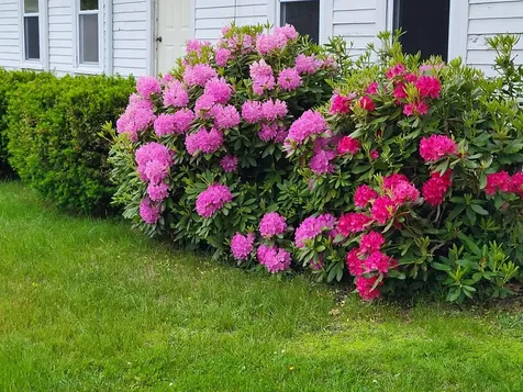 305 Windham Center Road Windham ME 04062