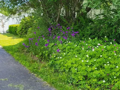 305 Windham Center Road Windham ME 04062