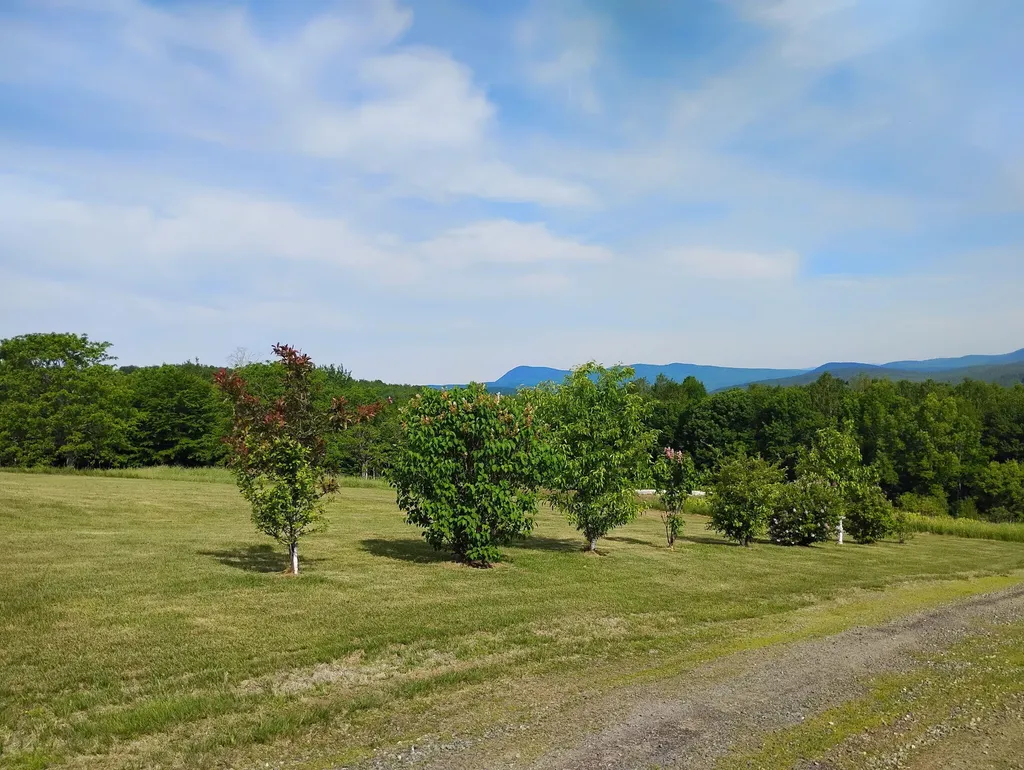 252 Voter Hill Road Farmington ME 04938