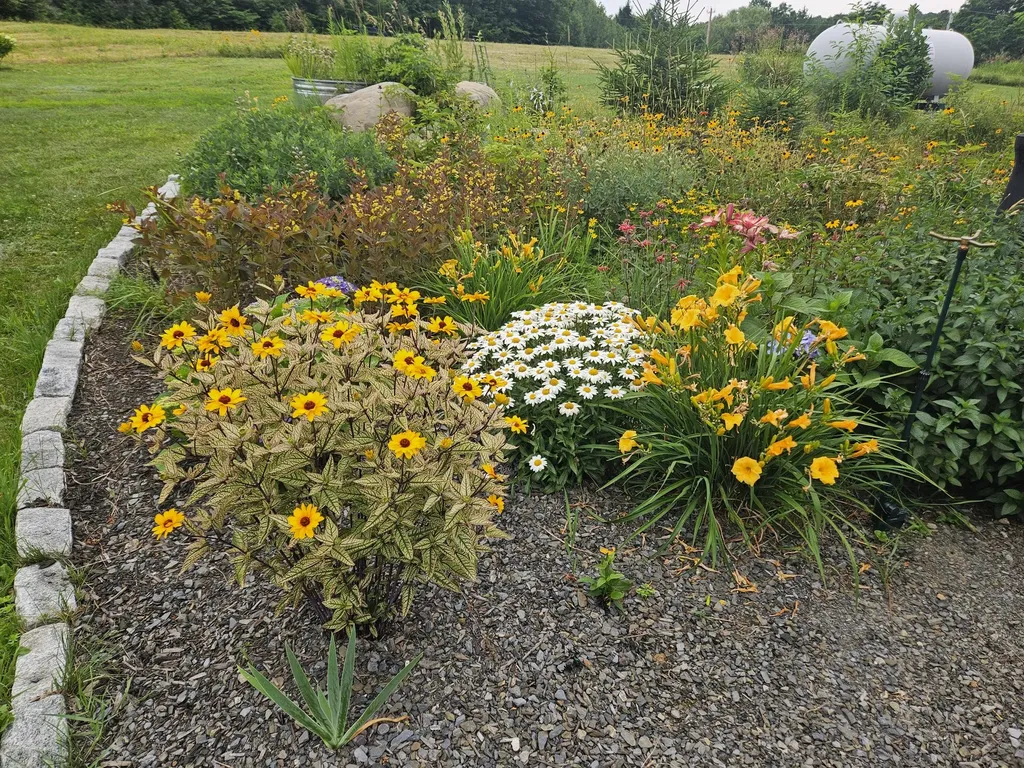252 Voter Hill Road Farmington ME 04938