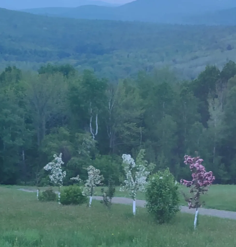 252 Voter Hill Road Farmington ME 04938