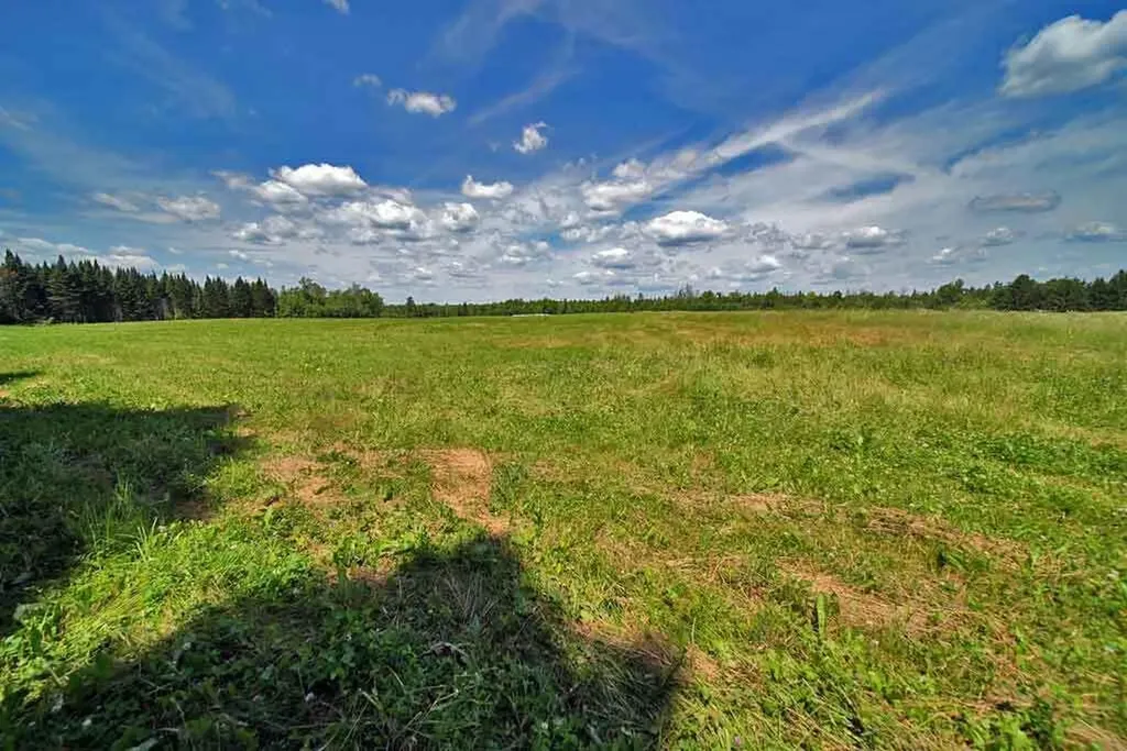 Lot 7 Drews Lake Road Houlton ME 04730