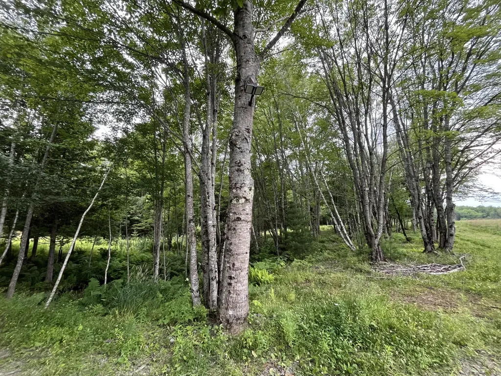 101 Sitka Way Norridgewock ME 04957