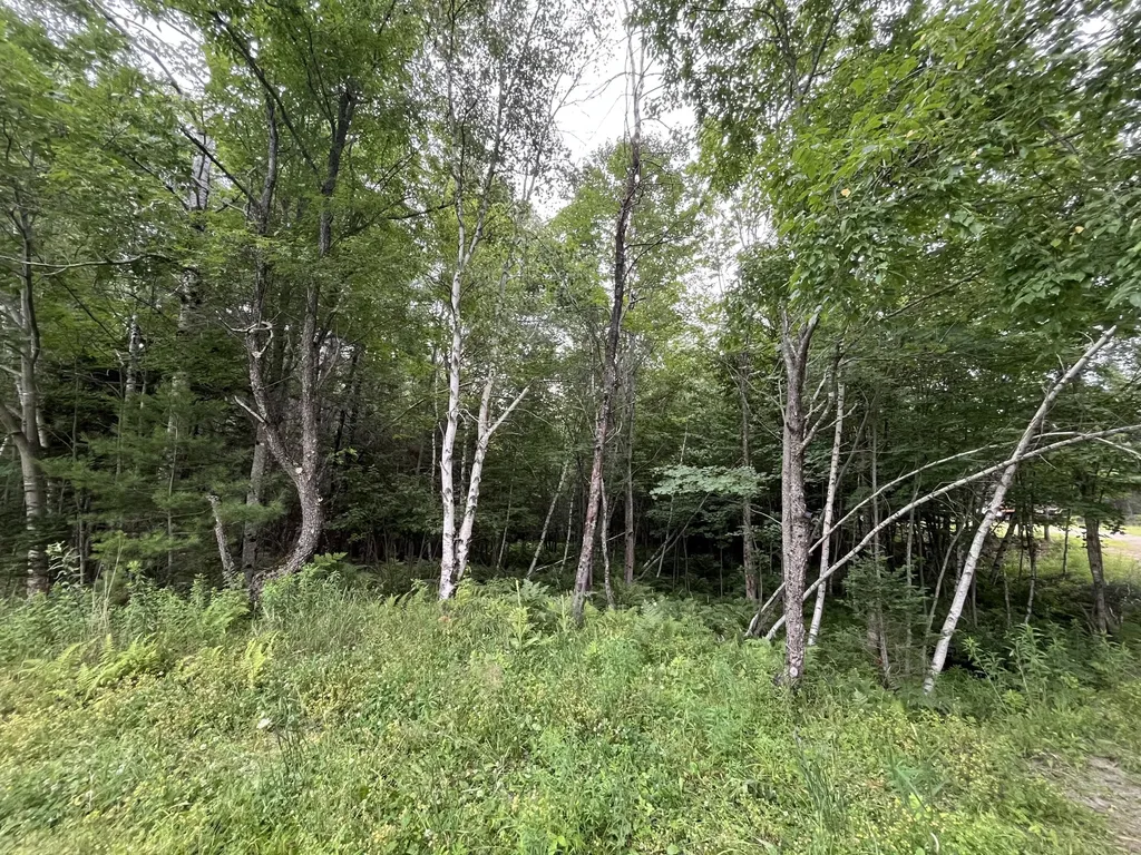 101 Sitka Way Norridgewock ME 04957