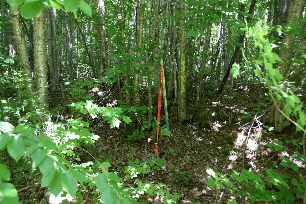 MSO3 L16 Flow Road Carrying Place Twp ME 04961
