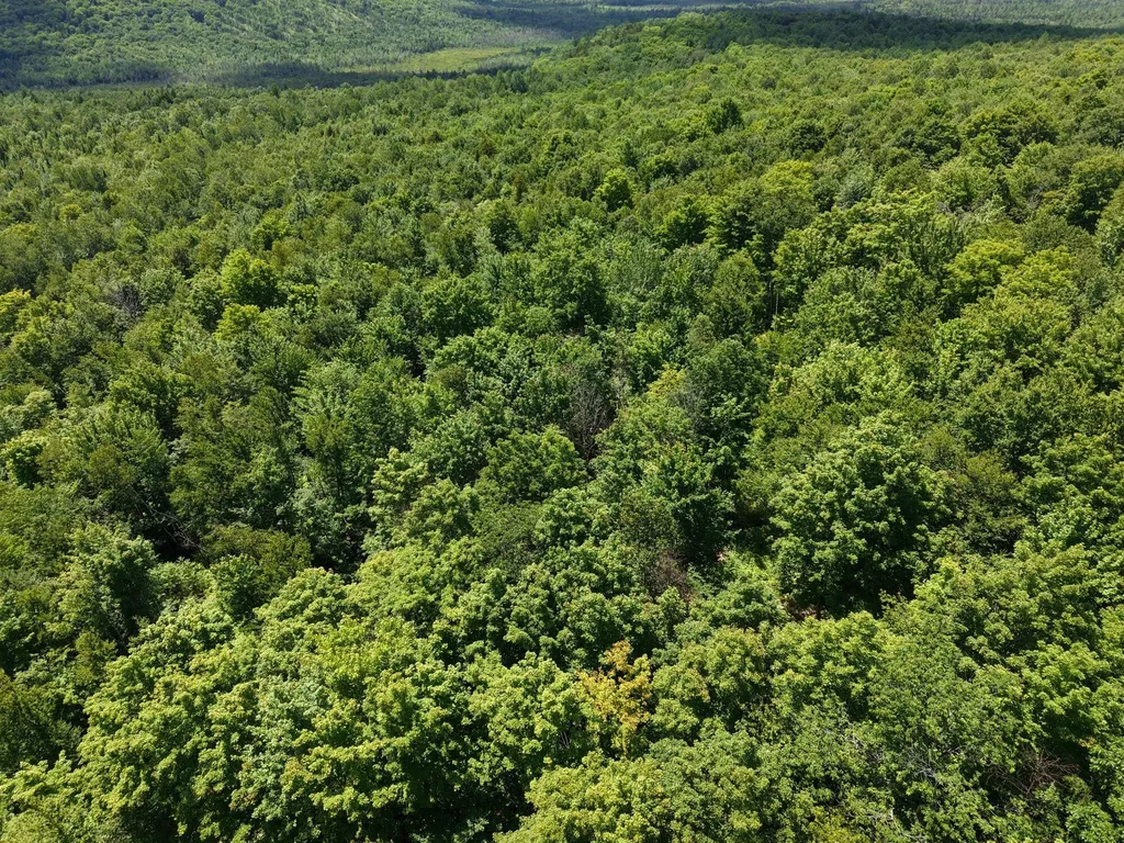 MSO3 L16 Flow Road Carrying Place Twp ME 04961