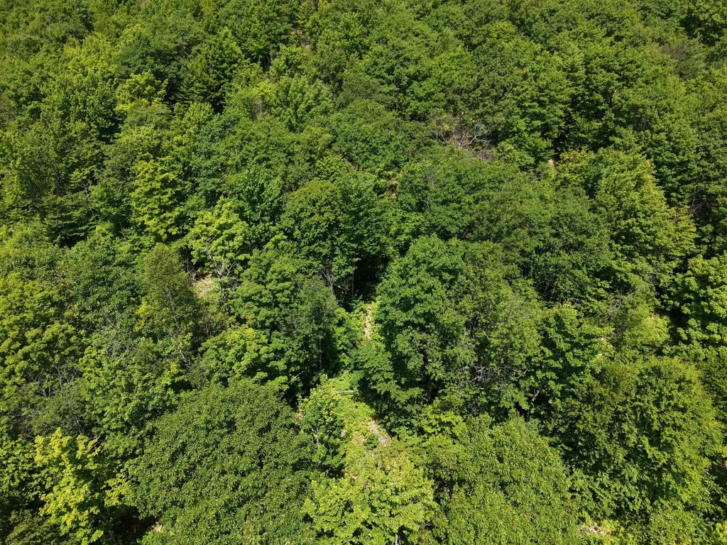 MSO3 L16 Flow Road Carrying Place Twp ME 04961