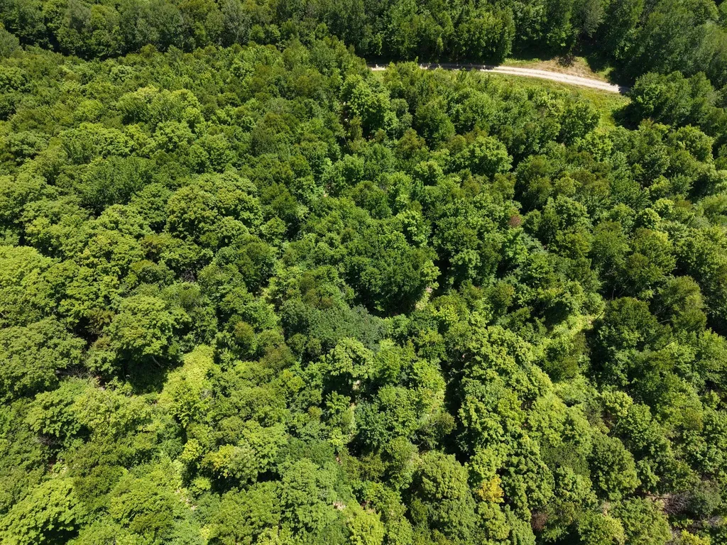 MSO3 L16 Flow Road Carrying Place Twp ME 04961