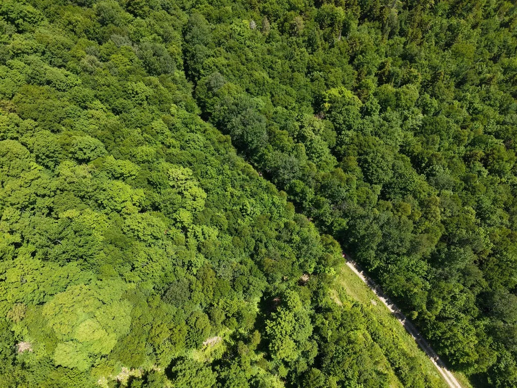MSO3 L16 Flow Road Carrying Place Twp ME 04961