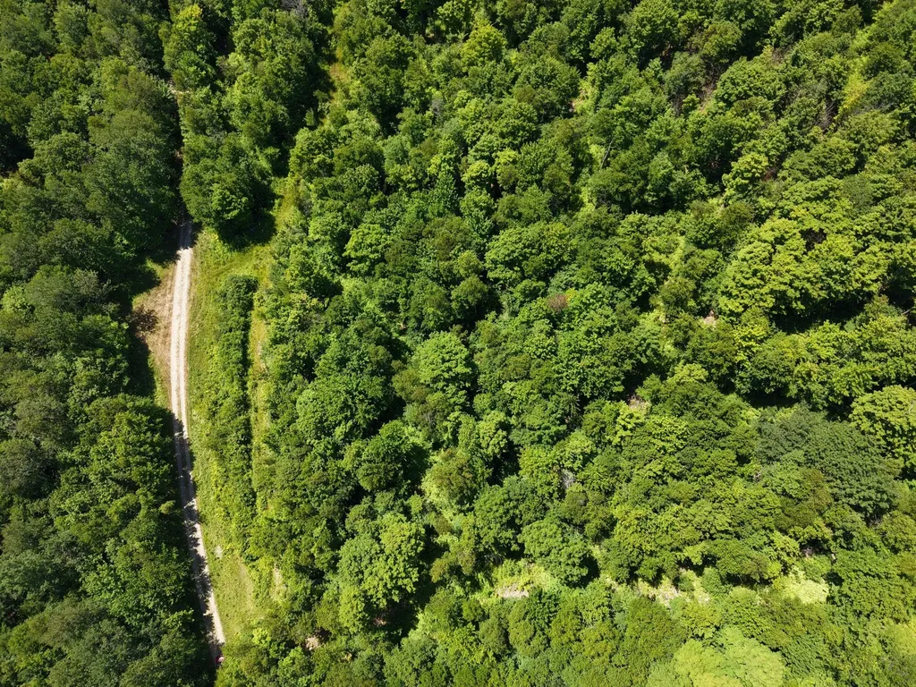 MSO3 L16 Flow Road Carrying Place Twp ME 04961