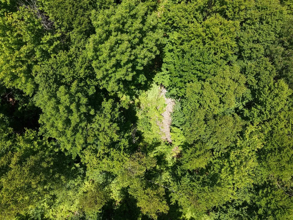 MSO3 L16 Flow Road Carrying Place Twp ME 04961