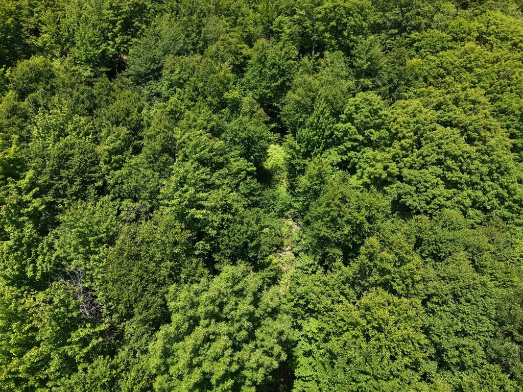 MSO3 L16 Flow Road Carrying Place Twp ME 04961
