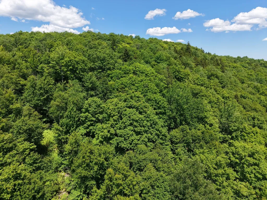 MSO3 L16 Flow Road Carrying Place Twp ME 04961