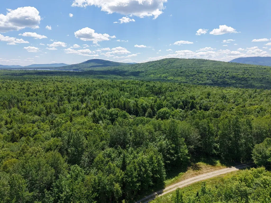 MSO3 L16 Flow Road Carrying Place Twp ME 04961