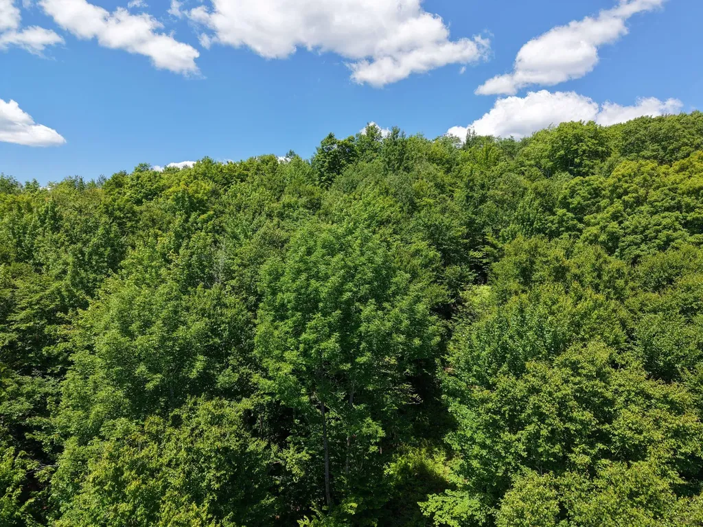 MSO3 L16 Flow Road Carrying Place Twp ME 04961